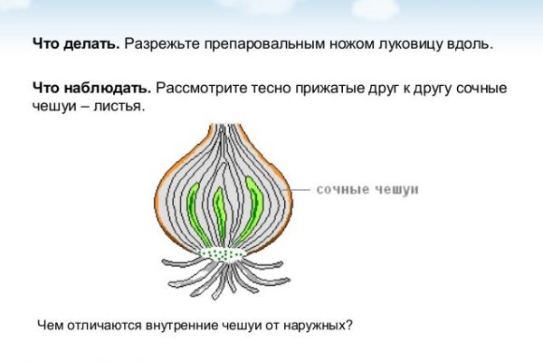 Скрытый интернет как войти