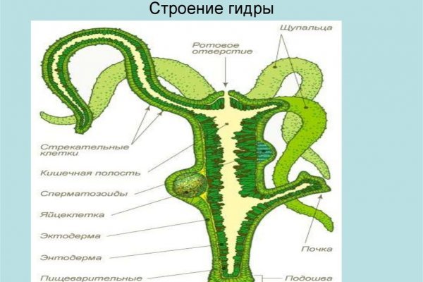 Кракен в россии наркотик