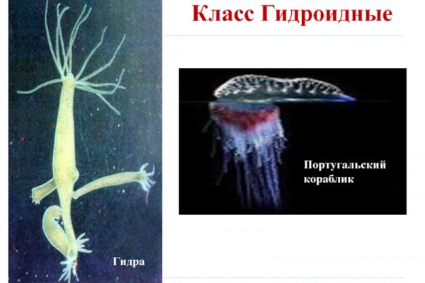 Kraken сайт зеркала
