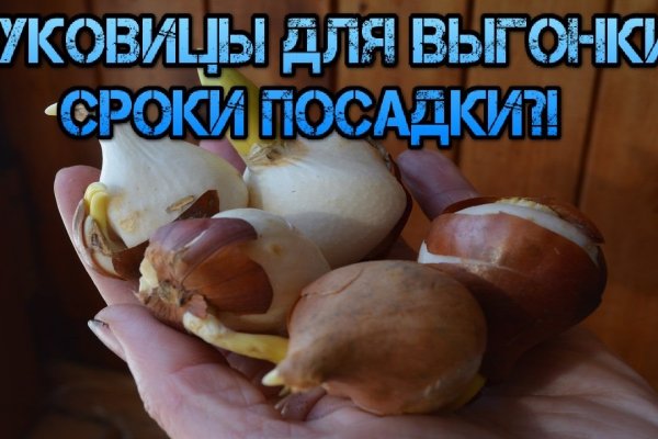 Актуальная ссылка на кракен kraken