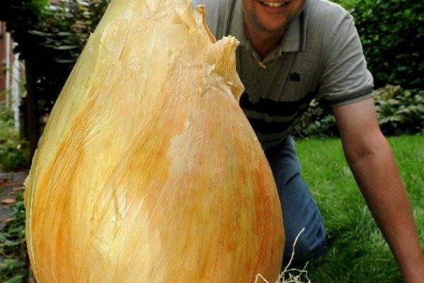 Кракен купить гашиш