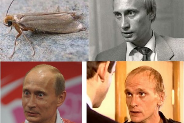 Кракен сайт 18