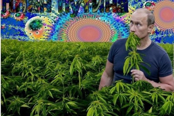 Магазин кракен как попасть