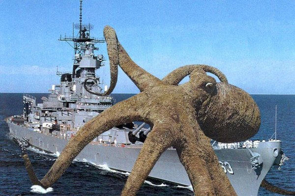 Где найти ссылку на кракен