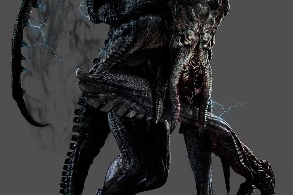 Kraken19at