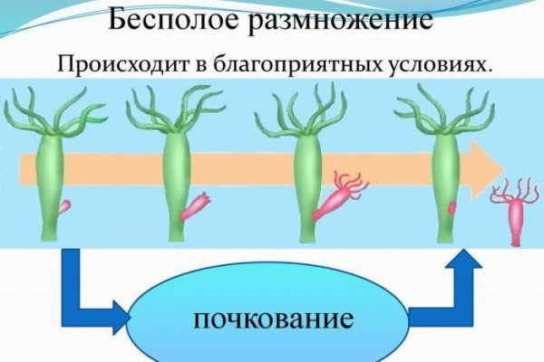 Кракен адрес тор
