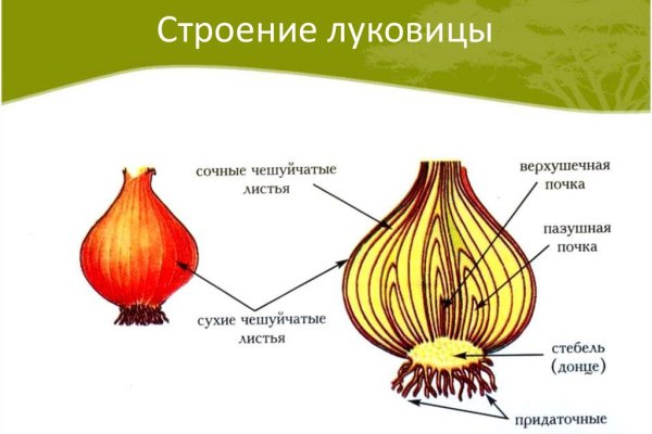 Кракен тор что это